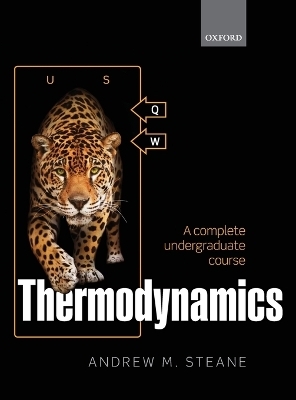 Thermodynamics - Andrew M. Steane