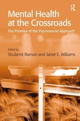 Mental Health at the Crossroads - Janet E. Williams