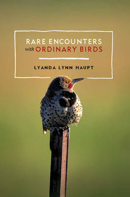 Rare Encounters with Ordinary Birds (1 Volume Set) - Lyanda Haupt