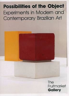 Possibilities of the Object - Experiments in Modern and Contemporary Brazilian Art DVD