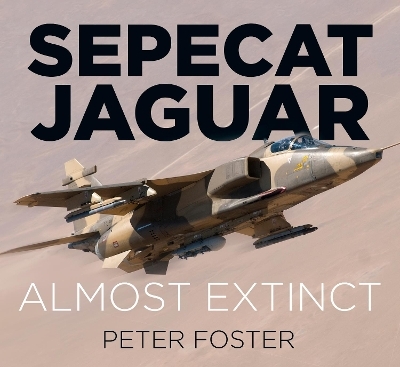 Sepecat Jaguar - Peter Foster