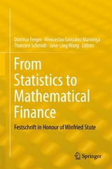 From Statistics to Mathematical Finance - 