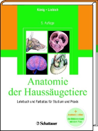 Anatomie der Haussäugetiere - 