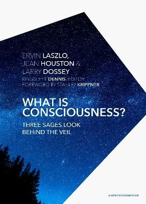 What is Consciousness? - Ervin Laszlo, Jean Houston, Larry Dossey