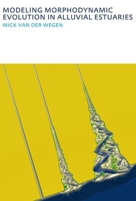 Modeling morphodynamic evolution in alluvial estuaries - Mick van der Wegen