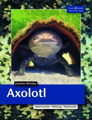 Axolotl - Joachim Wistuba