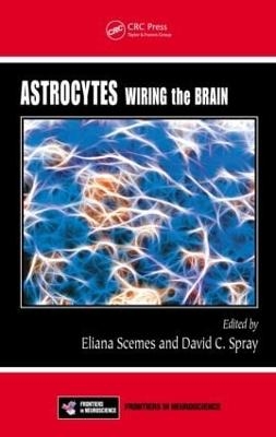 Astrocytes - 