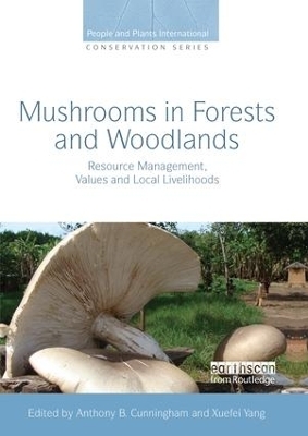 Mushrooms in Forests and Woodlands - 