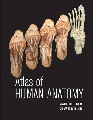 Atlas of Human Anatomy - Mark Nielsen, Shawn D. Miller