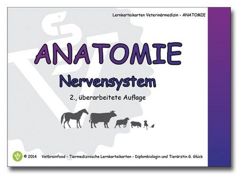 Anatomie: Nervensystem - Gabriele Glück