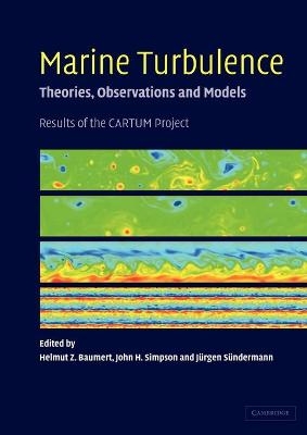 Marine Turbulence - 