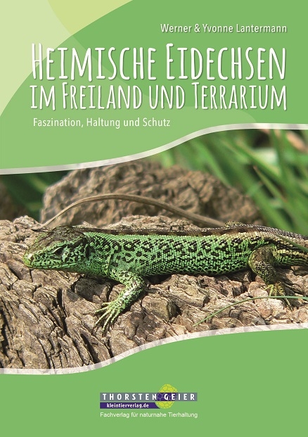 Heimische Eidechsen im Freiland und Terrarium - Werner Lantermann, Yvonne Lantermann