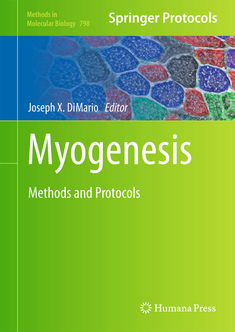 Myogenesis - 