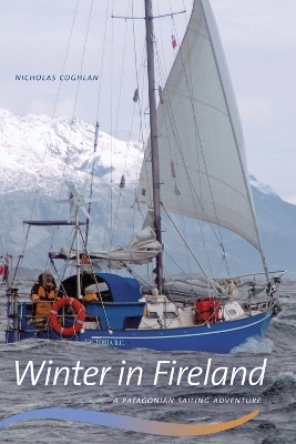 Winter in Fireland - Nicholas Coghlan