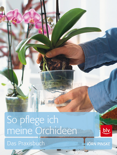 So pflege ich meine Orchideen - Jörn Pinske