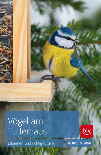 Vögel am Futterhaus - Michael Lohmann