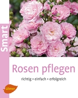 Rosen pflegen - Henry Klein