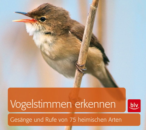 Vogelstimmen erkennen / CD - Andreas Schulze