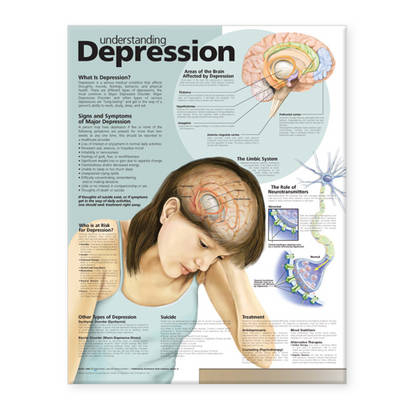 Understanding Depression Anatomical Chart