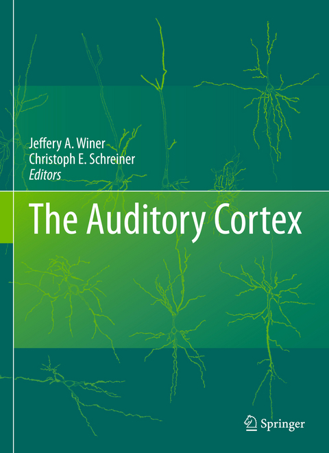 The Auditory Cortex - 