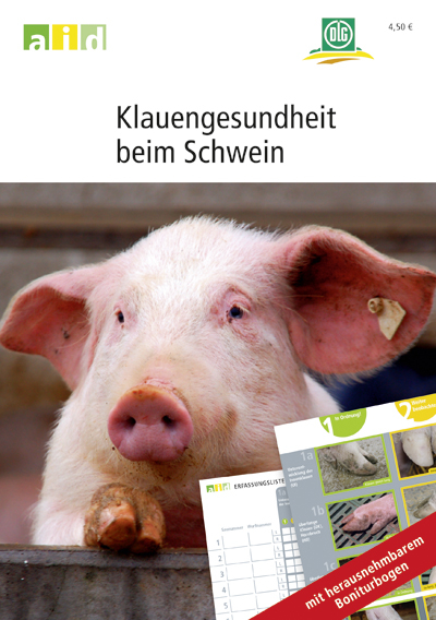 Klauengesundheit beim Schwein - Rudolf Wiedmann, Günter Grandjot, Martin Ziron, Barbara Kessler, Stefani Sonntag, Hannes Mader, Otto Schwemmer, Reinhard Schulte-Sutrum, Manfred Weber, Christian Meyer, Christiane Pollmann, Dietrich Landmann, Dirk Hess