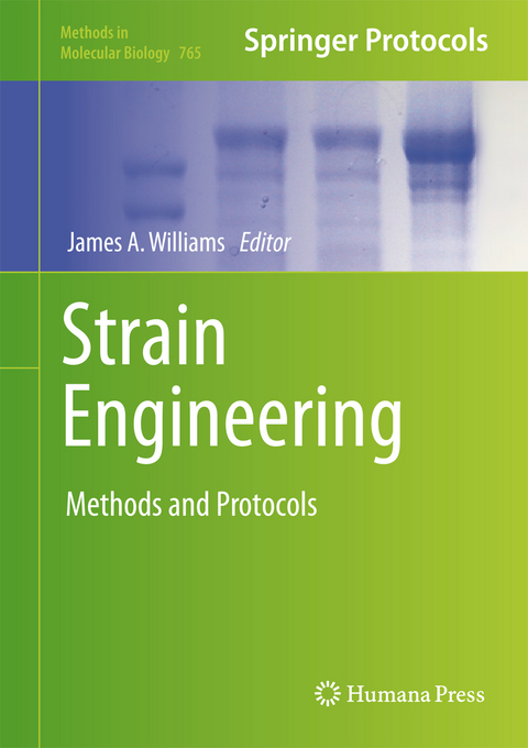 Strain Engineering - 