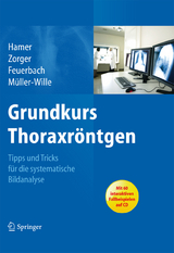 Grundkurs Thoraxröntgen - Okka Hamer, Niels Zorger, Stefan Feuerbach, René Müller-Wille