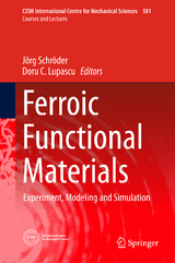 Ferroic Functional Materials - 