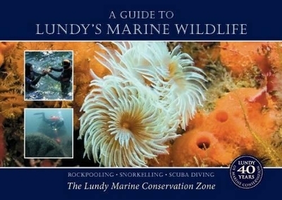 A Guide to Lundy's Marine Wildlife - Nicola Saunders, Sophie Wheatley