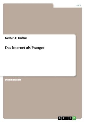 Das Internet als Pranger - Torsten F. Barthel