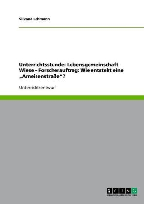 Unterrichtsstunde: Lebensgemeinschaft Wiese Â¿ Forscherauftrag: Wie entsteht eine Â¿AmeisenstraÃeÂ¿? - Silvana Lehmann