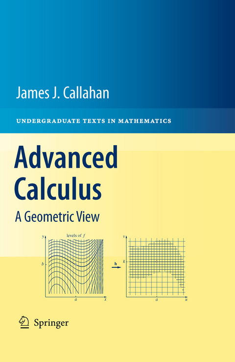 Advanced Calculus - James J. Callahan