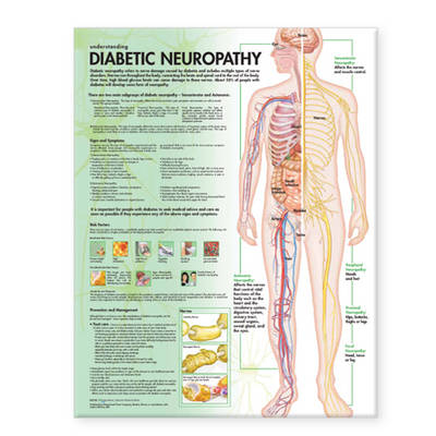 Understanding Diabetic Neuropathy Anatomical Chart