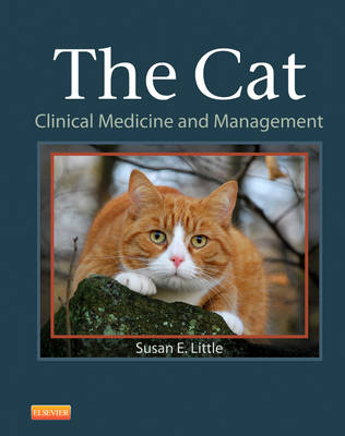 The Cat - Susan E. Little