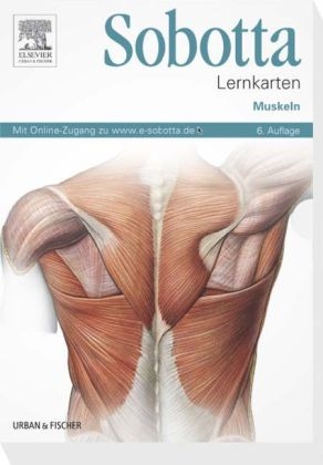 Sobotta Lernkarten Muskeln - Lars Bräuer