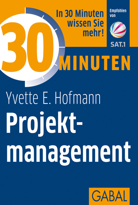 30 Minuten Projektmanagement - Yvette E. Hofmann