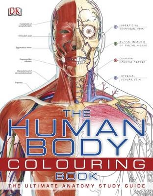 The Human Body Colouring Book -  Dk