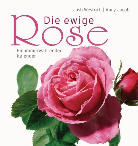 Die ewige Rose - Anny Jacob