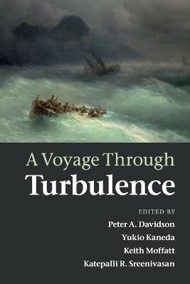 A Voyage Through Turbulence - 