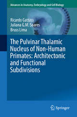 The Pulvinar Thalamic Nucleus of Non-Human Primates: Architectonic and Functional Subdivisions - Ricardo Gattass, Juliana G.M. Soares, Bruss Lima