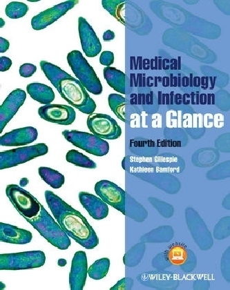 Medical Microbiology and Infection at a Glance - Stephen Gillespie, Kathleen Bamford