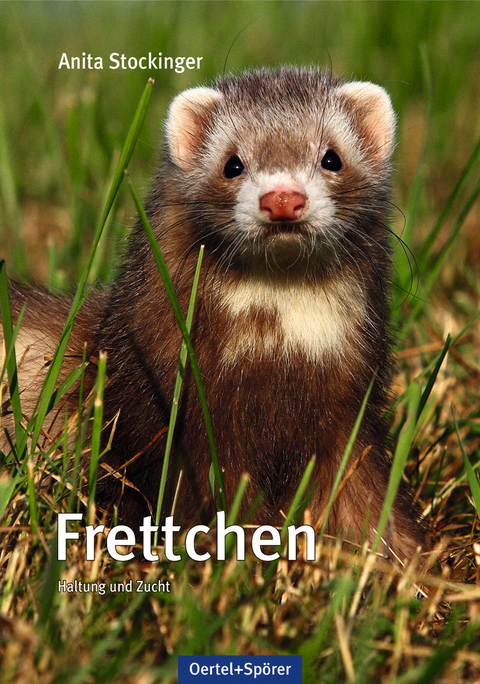 Frettchen - Anita Stockinger