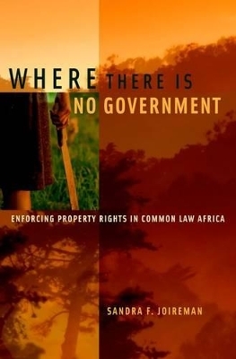 Where There is No Government - Sandra Joireman