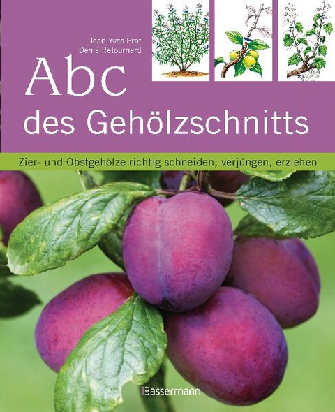 Abc des Gehölzschnitts - Jean-Yves Prat, Denis Retournard