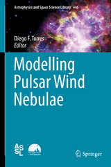 Modelling Pulsar Wind Nebulae - 