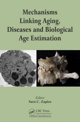 Mechanisms Linking Aging, Diseases and Biological Age Estimation - 