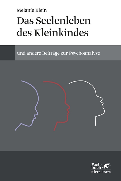 Das Seelenleben des Kleinkindes und andere Beiträge zur Psychoanalyse - Melanie Klein