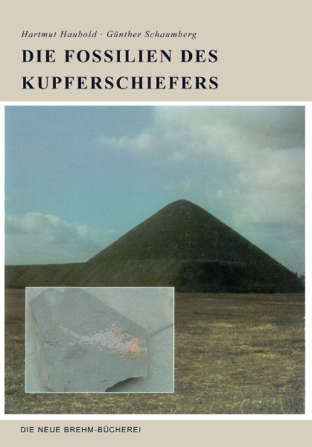 Die Fossilien des Kupferschiefers - Hartmut Haubold