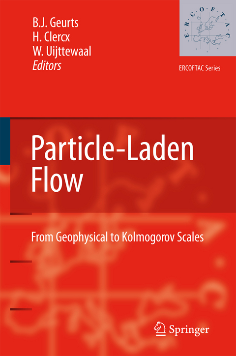 Particle-Laden Flow - 