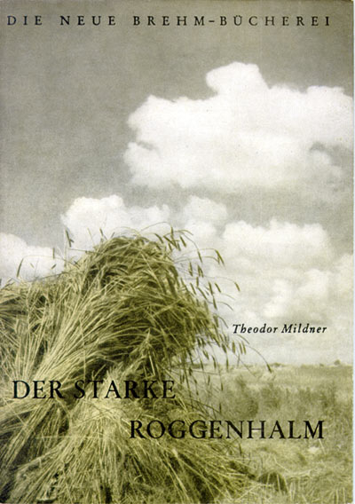 Der starke Roggenhalm - Theodor Mildner